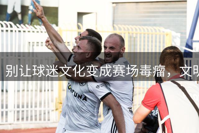 别让球迷文化变成赛场毒瘤，文明观赛更有价值