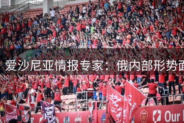 爱沙尼亚情报专家：俄内部形势面临突变风险