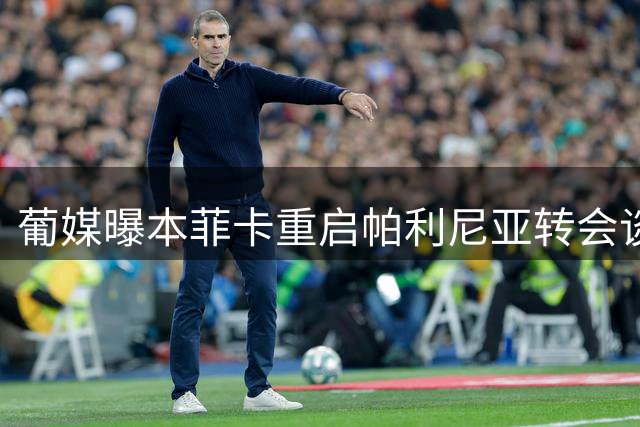 葡媒曝本菲卡重启帕利尼亚转会谈判 最新报价接近拜仁心理价位