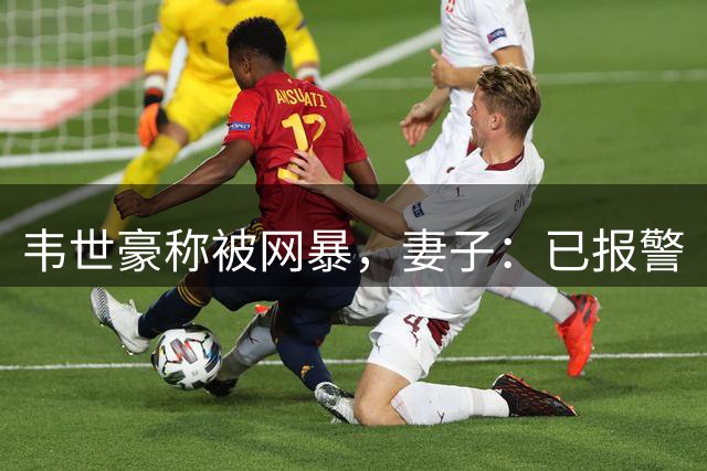 韦世豪称被网暴，妻子：已报警